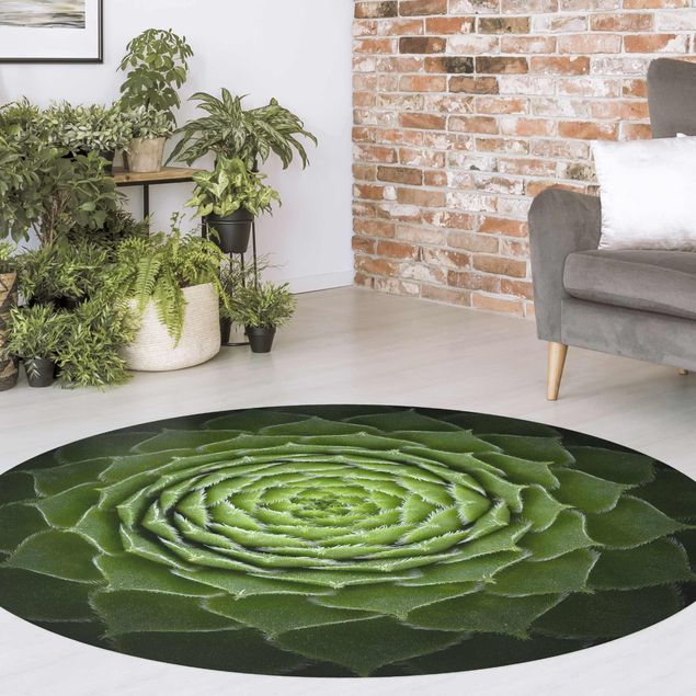 moderne gulvtæppe Mandala Succulent Plant