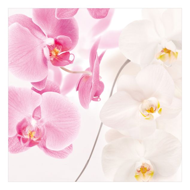 Møbelfolier Delicate Orchids