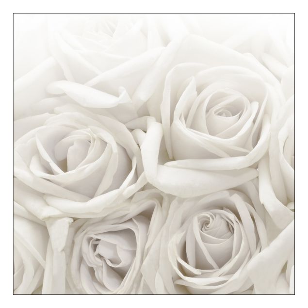 Møbelfolier White Roses