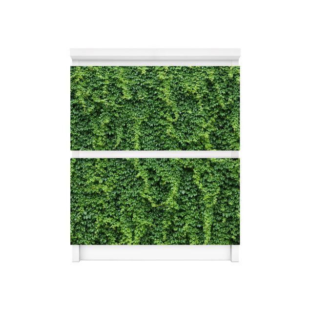 Selvklæbende folier grøn Ivy