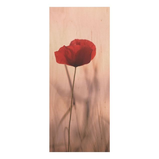 Prints på træ blomster Poppy Flower In Twilight