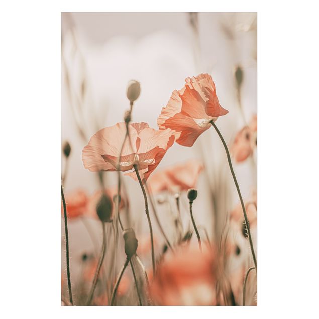 Vinduesklistermærke - Poppy Flowers In Summer Breeze
