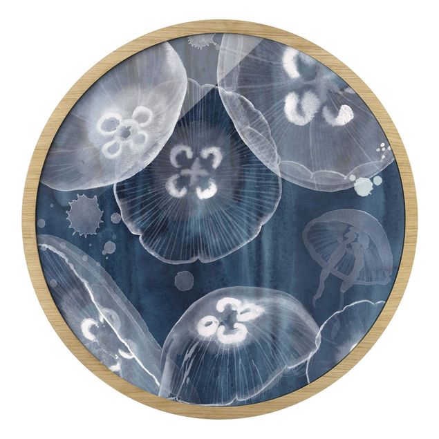 Billeder blå Moon Jellyfish II