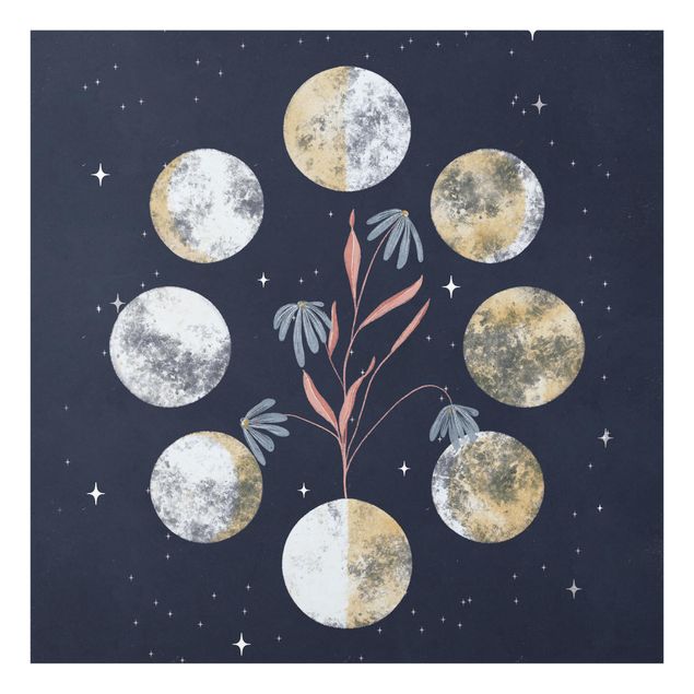 Billeder Moon Phases and daisies