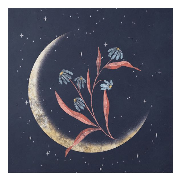 Billeder Crescent Moon and Marguerites