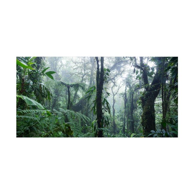 Tæpper natur Monteverde Cloud Forest