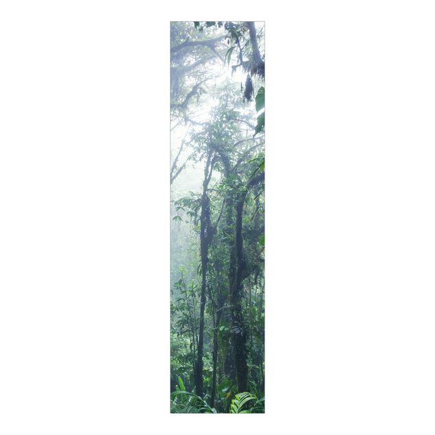 Billeder Matteo Colombo Monteverde Cloud Forest