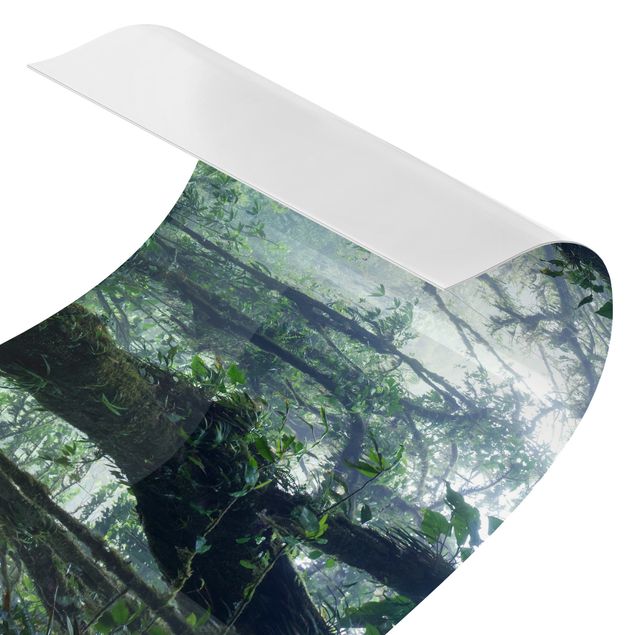 Selvklæbende folier Monteverde Cloud Forest