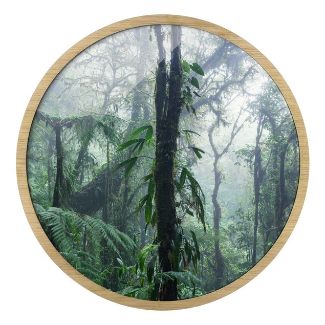 Indrammede plakater landskaber Monteverde Cloud Forest