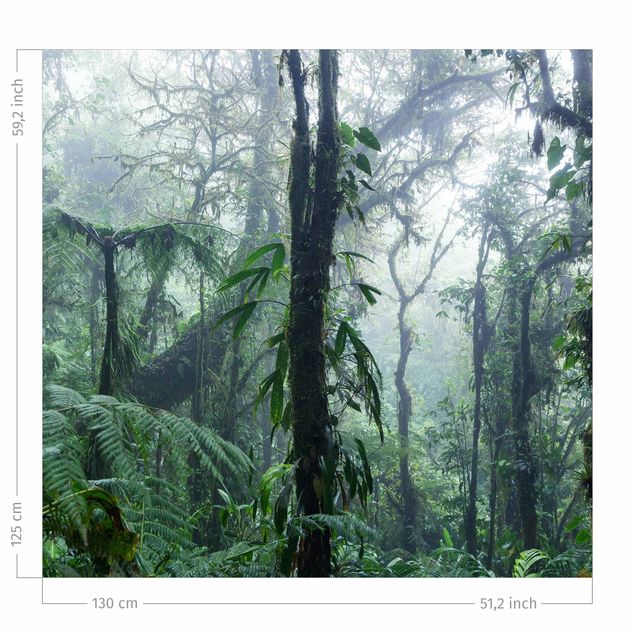 Gardiner efter mål Monteverde Cloud Forest