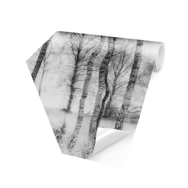 Tapet beige Mystic Birch Forest Black And White
