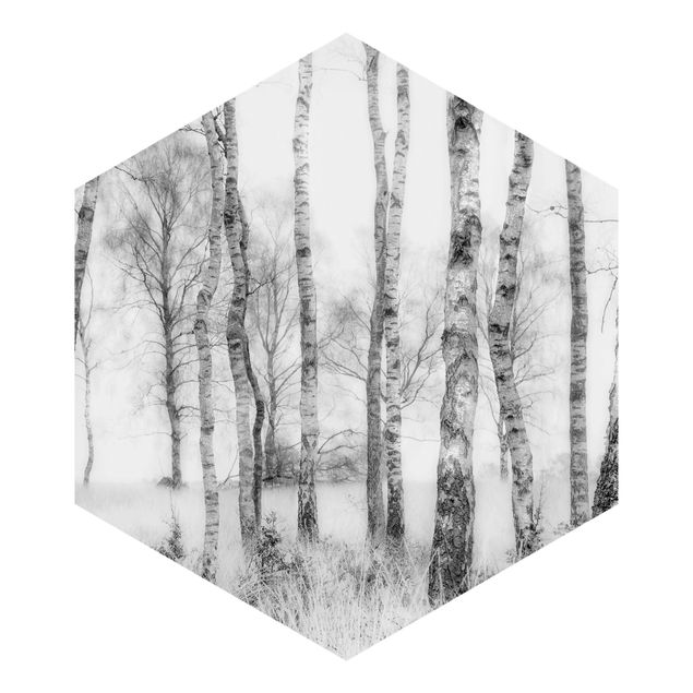 Tapet Mystic Birch Forest Black And White