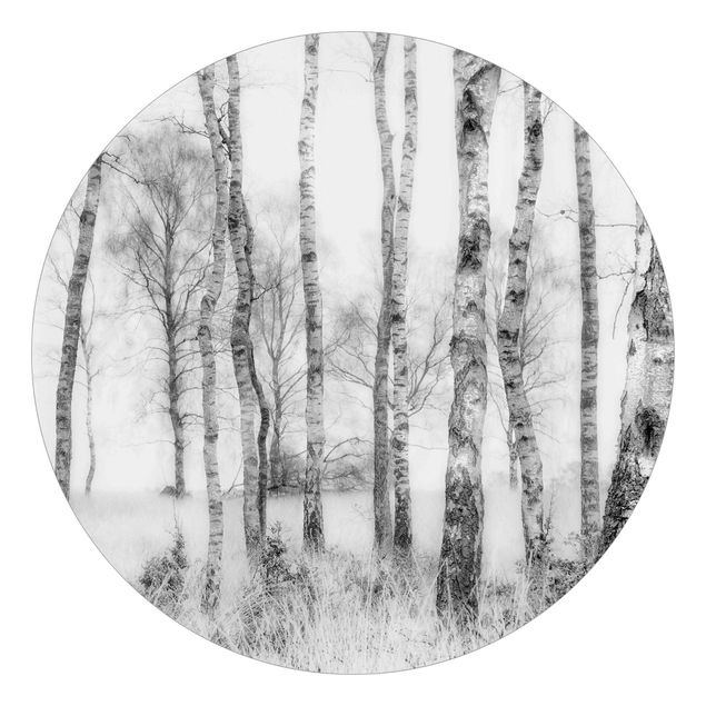 Fototapet landskaber Mystic Birch Forest Black And White