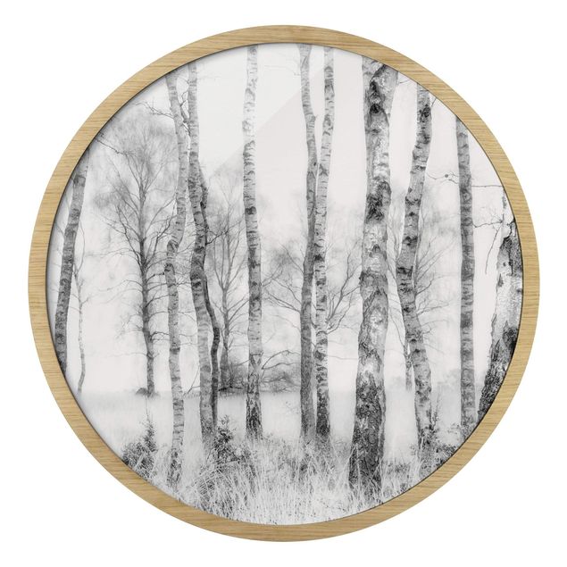 Indrammede plakater landskaber Mystic Birch Forest Black And White