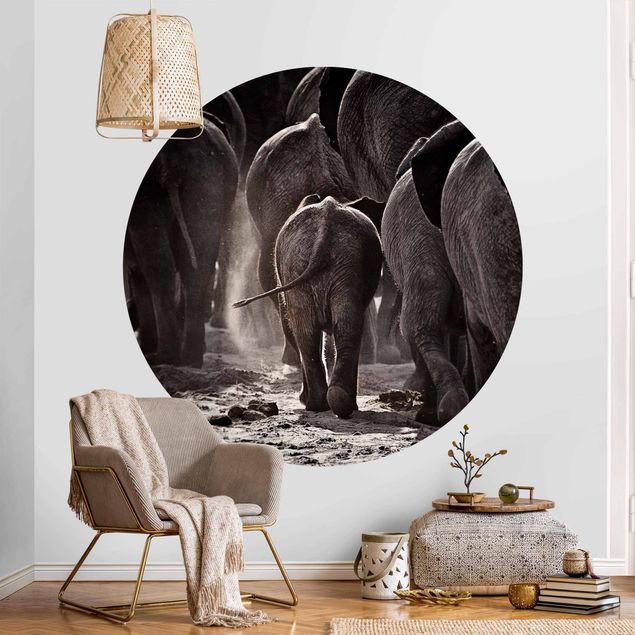 Fototapet elefanter Going Home