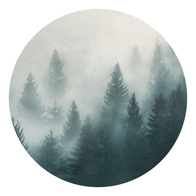 Skovtapet Coniferous Forest In Fog