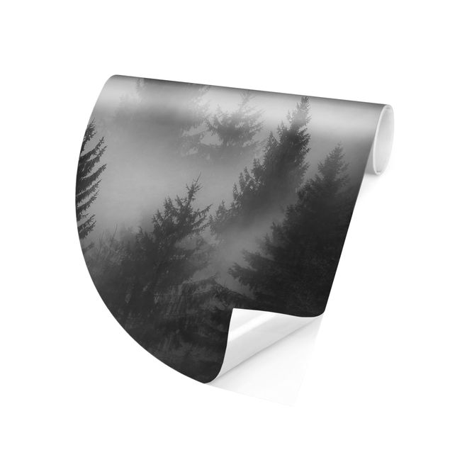 Tapet sort hvid Coniferous Forest In The Fog Black And White