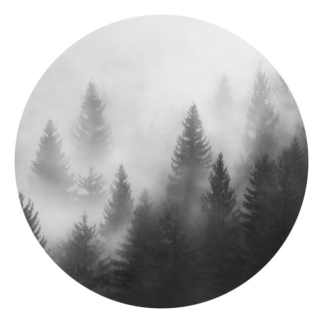 Fototapet landskaber Coniferous Forest In The Fog Black And White