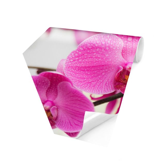 Sekskantede Tapeter Close-Up Orchid