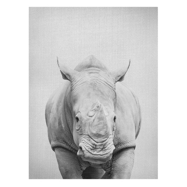 Billeder sort og hvid Rhinoceros Nora Black And White