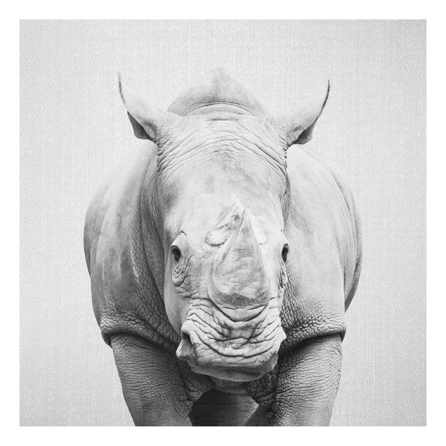 Billeder sort og hvid Rhinoceros Nora Black And White