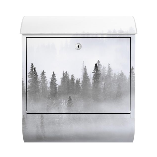 Postkasser landskaber Fog In The Fir Forest Black And White
