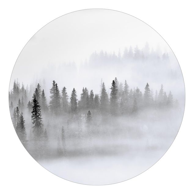Fototapet landskaber Fog In The Fir Forest Black And White