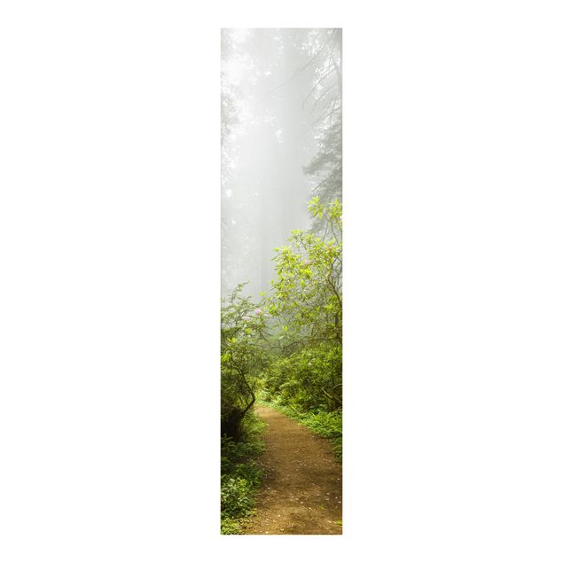 Panelgardiner landskaber Misty Forest Path