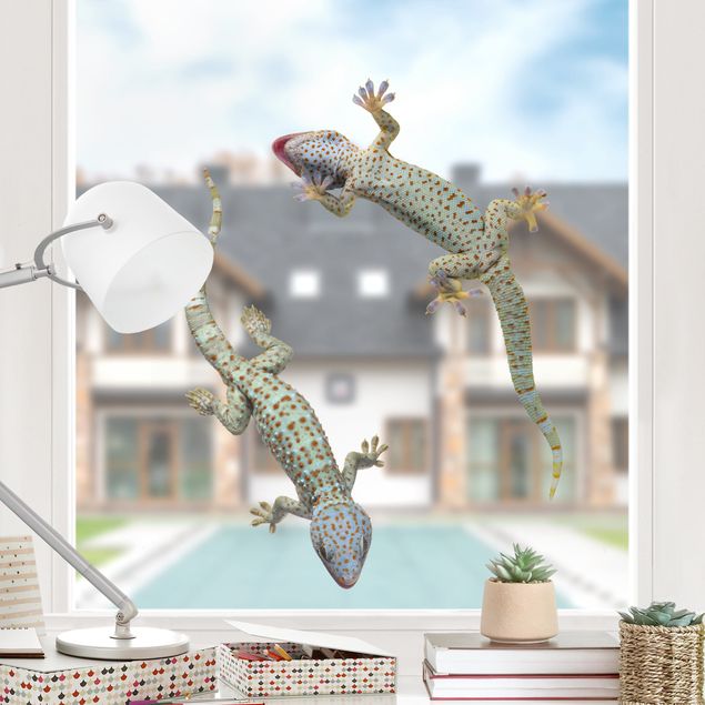 køkken dekorationer Curious Geckos