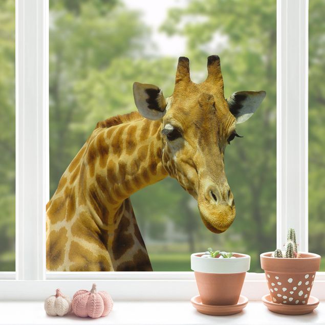 Børneværelse deco Curious Giraffe