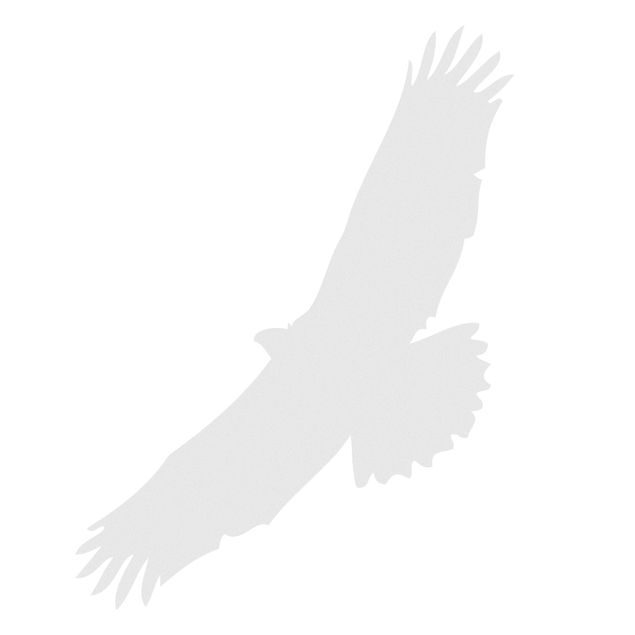 Vinduesklistermærker dyr No.UL524 bird of prey