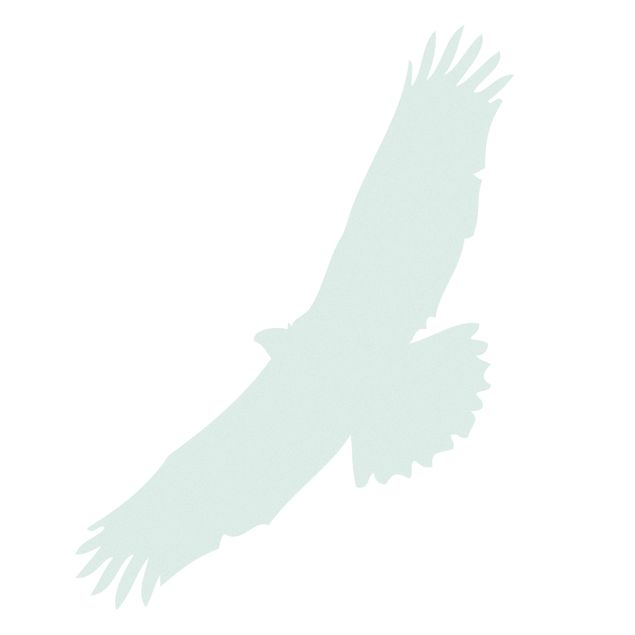 Vinduesklistermærker No.UL524 bird of prey