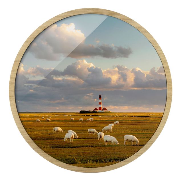 Billeder hav North Sea Lighthouse With Flock Of Sheep
