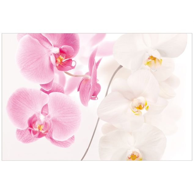 Selvklæbende folier Delicate Orchids