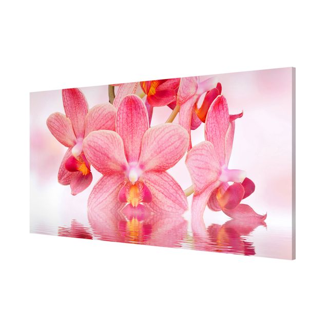 Magnettavler blomster Light Pink Orchid On Water