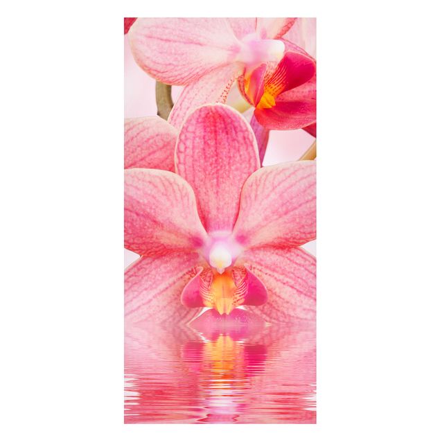 køkken dekorationer Light Pink Orchid On Water