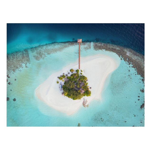 Billeder hav Ocean Paradise Maldives