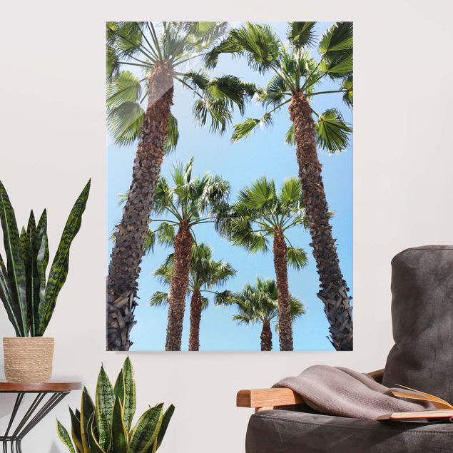 Glasbilleder landskaber Palm Trees At Venice Beach