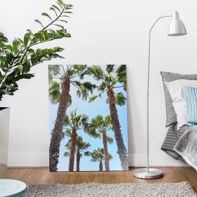 Billeder landskaber Palm Trees At Venice Beach