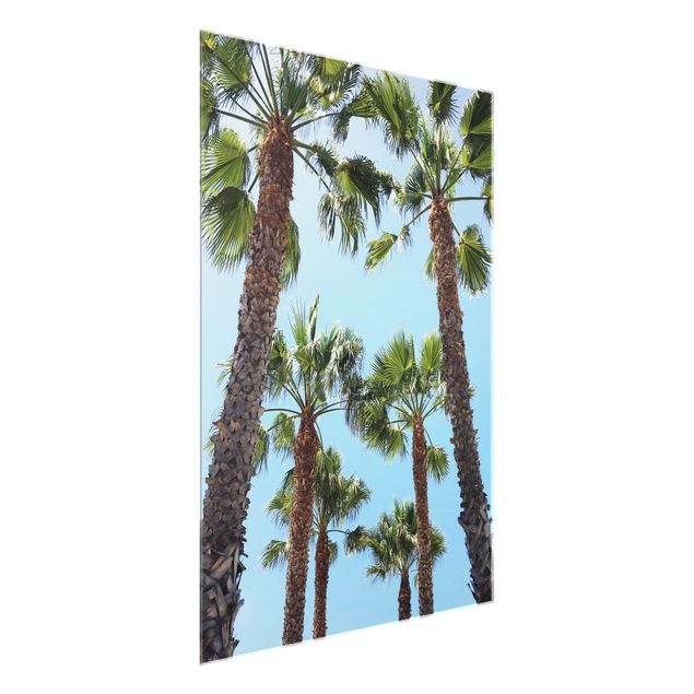 Billeder hav Palm Trees At Venice Beach