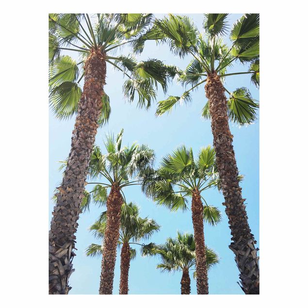 Glasbilleder strande Palm Trees At Venice Beach