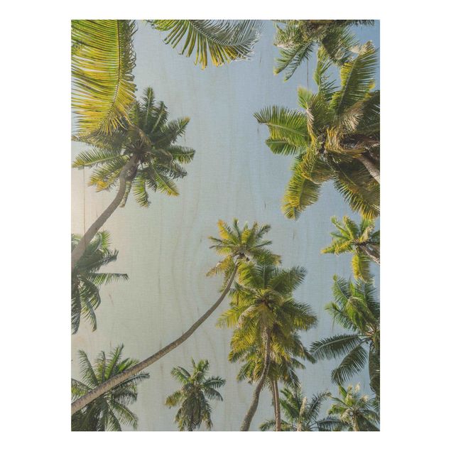 Prints på træ landskaber Palm Tree Canopy