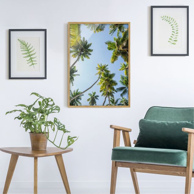 Indrammede plakater landskaber Palm Tree Canopy