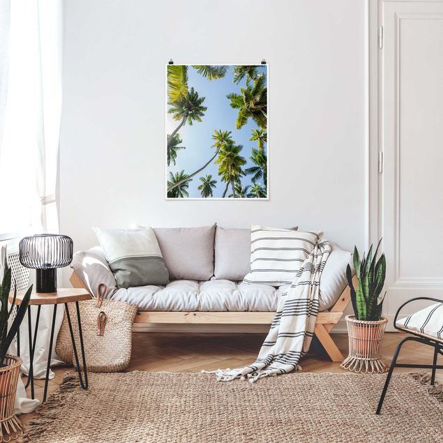 Billeder landskaber Palm Tree Canopy