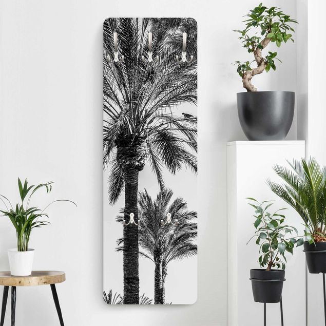 Knagerækker blomster Palm Trees At Sunset Black And White