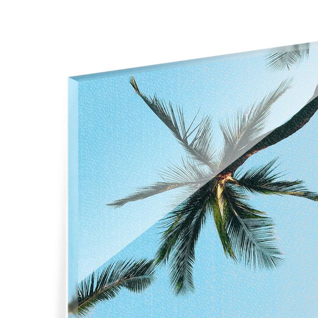 Billeder moderne Gigantic Palm Trees In The Sky