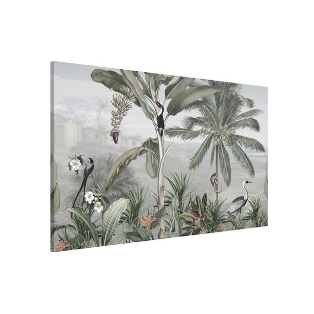 køkken dekorationer Birds of paradise in the jungle panorama