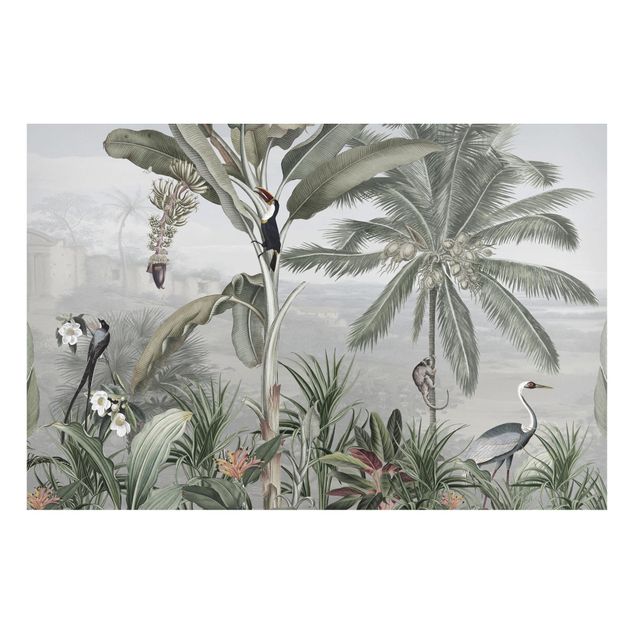 Billeder træer Birds of paradise in the jungle panorama