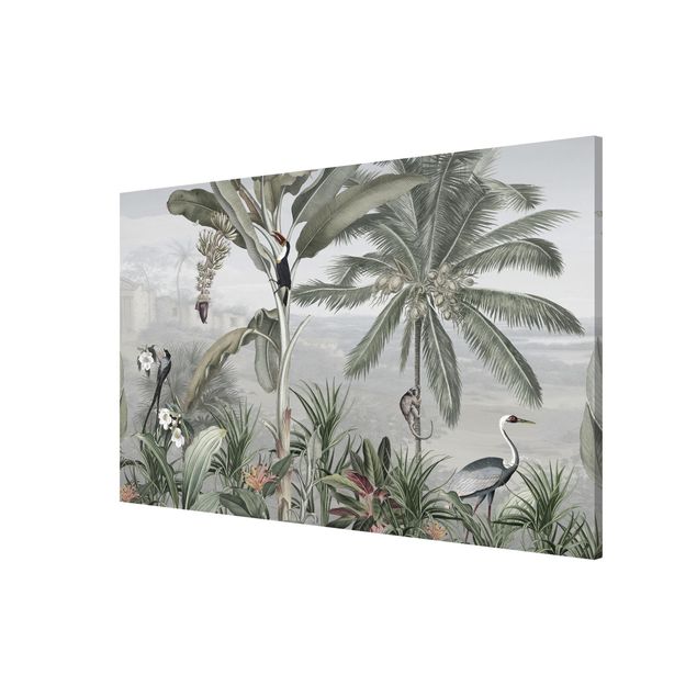 Billeder landskaber Birds of paradise in the jungle panorama