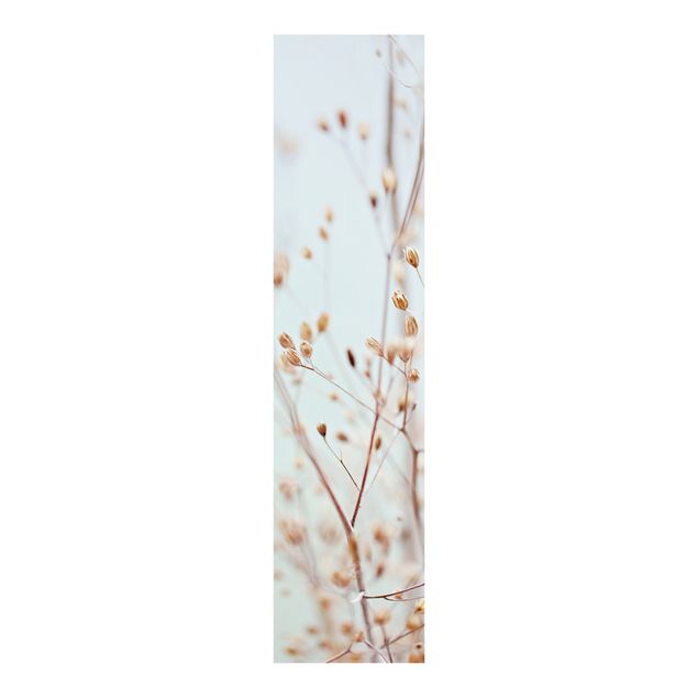 Panelgardiner blomster Watercolour Bubbles In Antique Pink